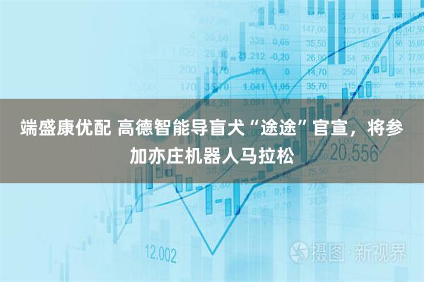 端盛康优配 高德智能导盲犬“途途”官宣，将参加亦庄机器人马拉松