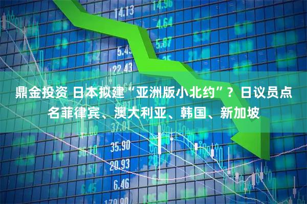 鼎金投资 日本拟建“亚洲版小北约”？日议员点名菲律宾、澳大利亚、韩国、新加坡